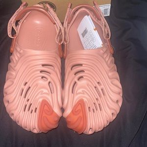 Salehebembury x thepollexclog